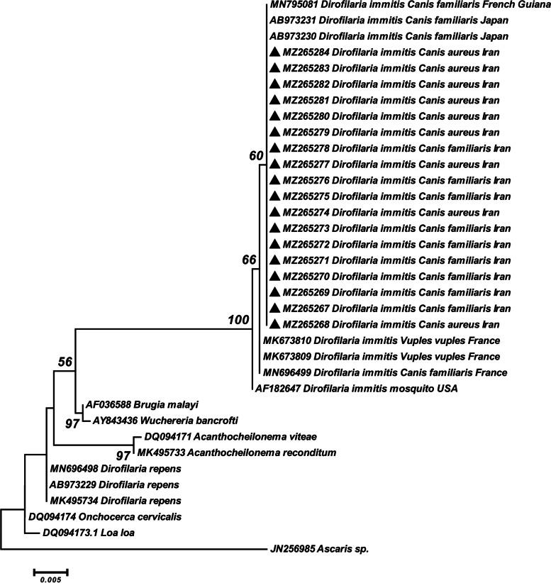 https://cdn.ncbi.nlm.nih.gov/pmc/blobs/26f3/9063217/68ac6f9673fb/12917_2022_3270_Fig5_HTML.jpg