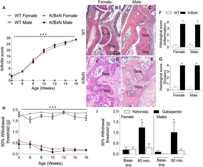 https://cdn.ncbi.nlm.nih.gov/pmc/blobs/26f4/7515905/57afe75a54d0/41598_2020_72441_Fig1_HTML.jpg