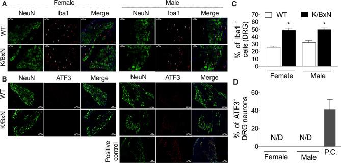 https://cdn.ncbi.nlm.nih.gov/pmc/blobs/26f4/7515905/97d10ea89b65/41598_2020_72441_Fig5_HTML.jpg