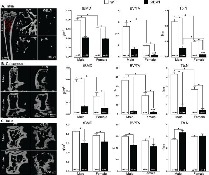 https://cdn.ncbi.nlm.nih.gov/pmc/blobs/26f4/7515905/db3fb1faa78c/41598_2020_72441_Fig2_HTML.jpg