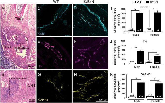 https://cdn.ncbi.nlm.nih.gov/pmc/blobs/26f4/7515905/fe4d0406c431/41598_2020_72441_Fig6_HTML.jpg
