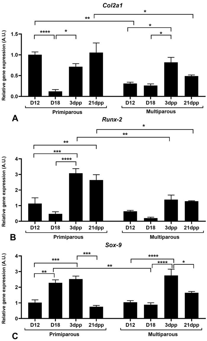 https://cdn.ncbi.nlm.nih.gov/pmc/blobs/26f7/10003663/e40feba5fcbd/ijms-24-04573-g003.jpg