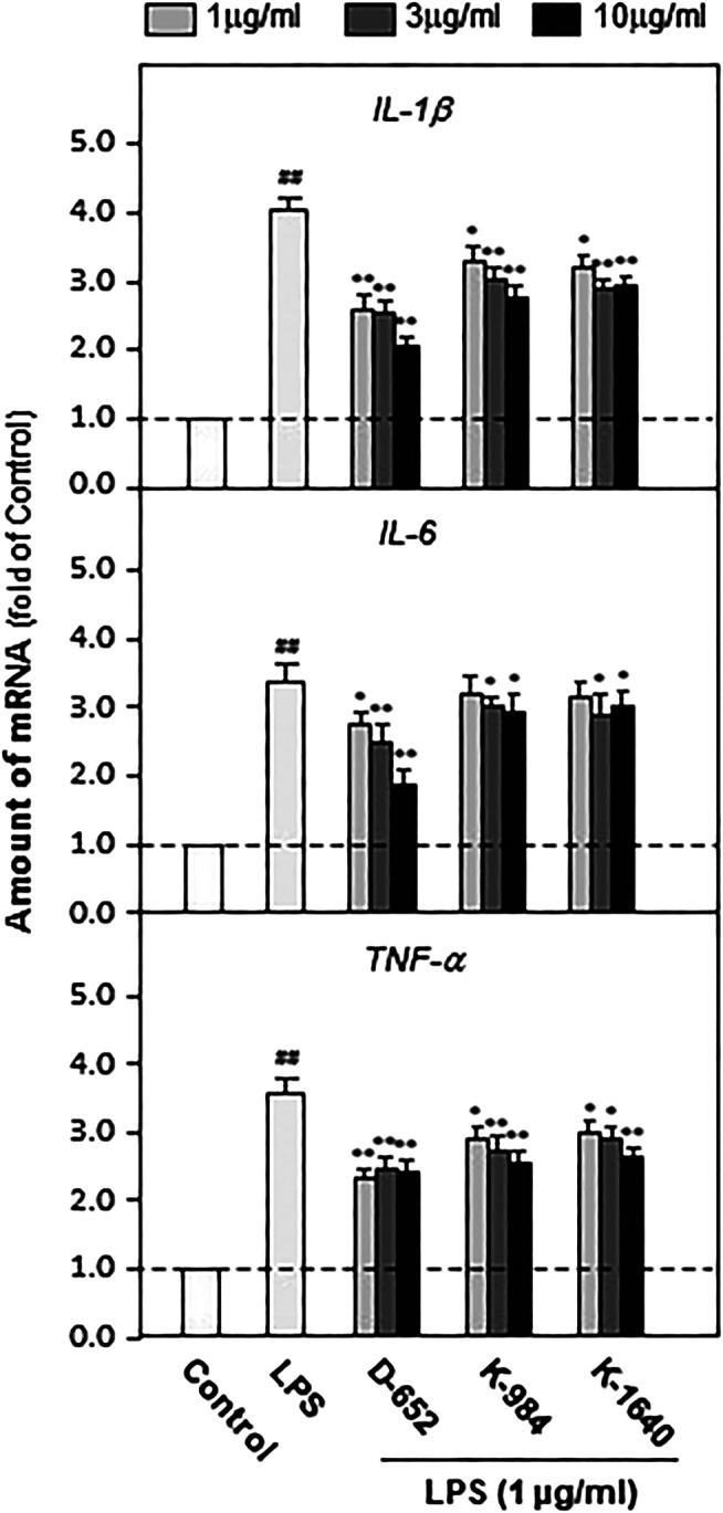 https://cdn.ncbi.nlm.nih.gov/pmc/blobs/26f9/8006317/18755001b2ae/fphar-12-626949-g006.jpg