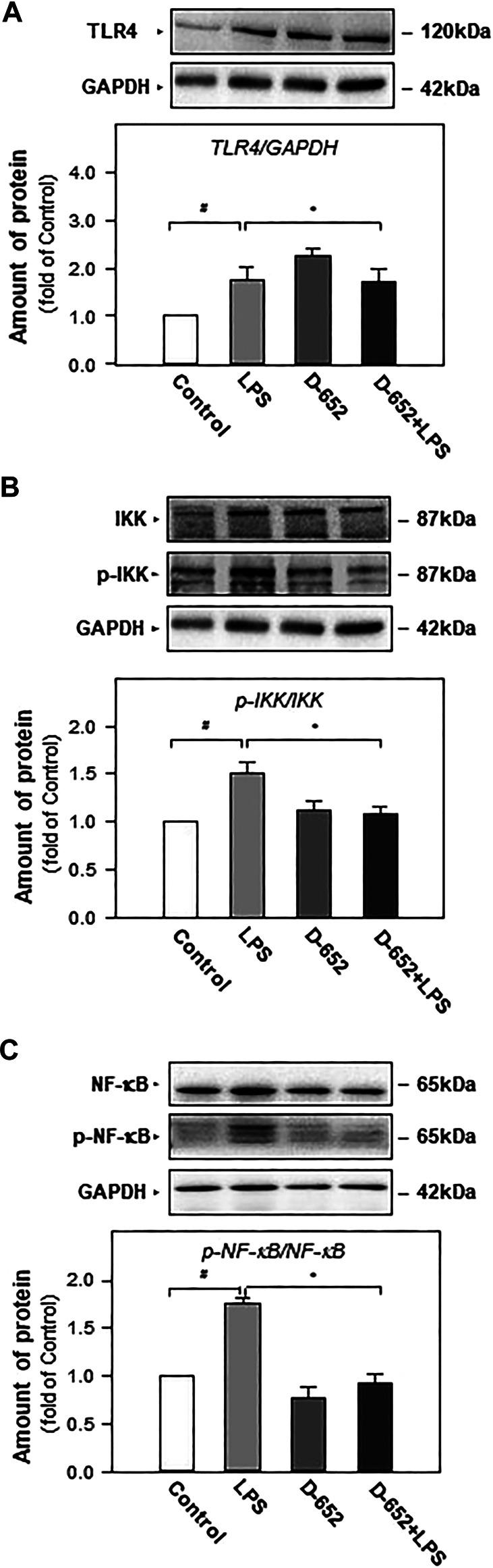 https://cdn.ncbi.nlm.nih.gov/pmc/blobs/26f9/8006317/774692e40d78/fphar-12-626949-g007.jpg