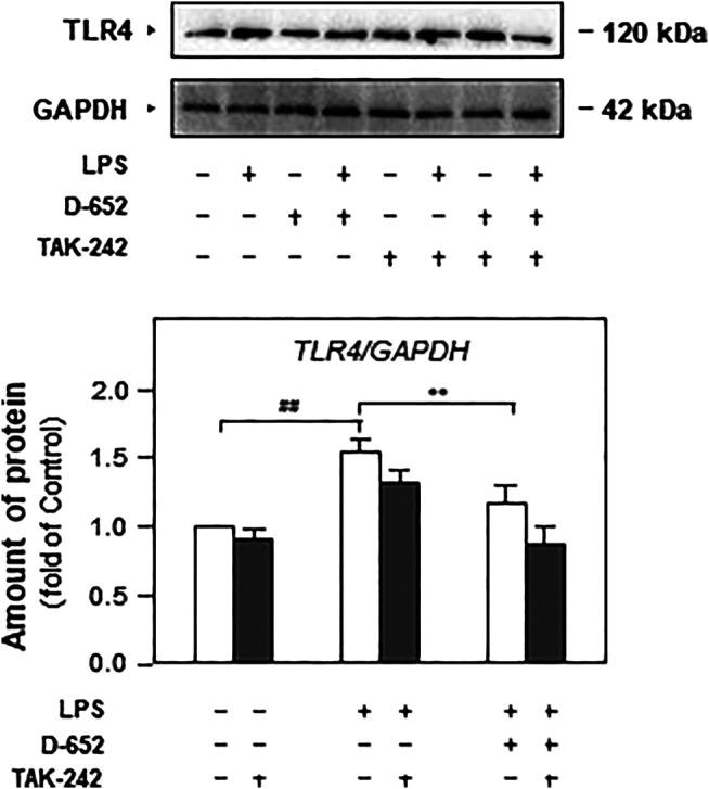 https://cdn.ncbi.nlm.nih.gov/pmc/blobs/26f9/8006317/899f942bf55f/fphar-12-626949-g010.jpg