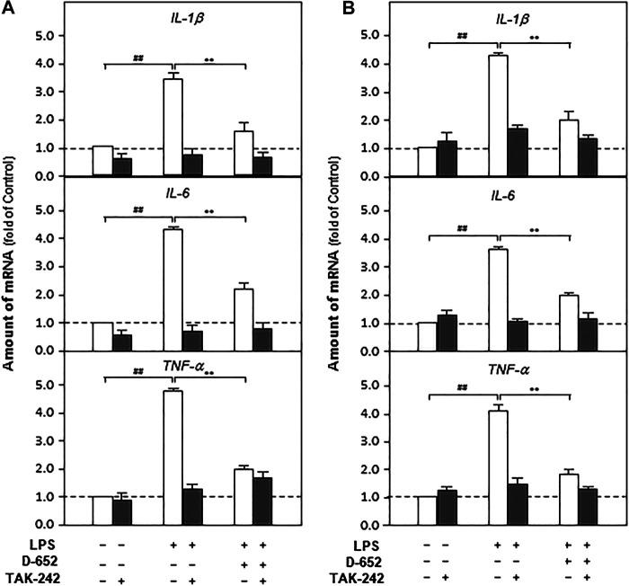 https://cdn.ncbi.nlm.nih.gov/pmc/blobs/26f9/8006317/8d86af6afffa/fphar-12-626949-g009.jpg