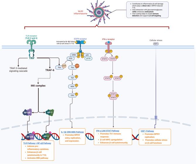 https://cdn.ncbi.nlm.nih.gov/pmc/blobs/26fa/12166575/24b8fa8a3314/12985_2025_2822_Figa_HTML.jpg
