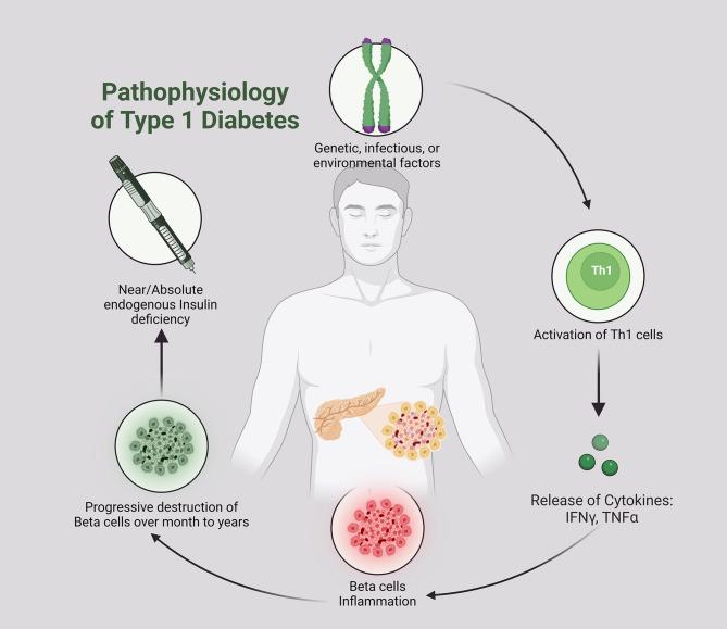 https://cdn.ncbi.nlm.nih.gov/pmc/blobs/26fa/12166575/9e8c32f2aedf/12985_2025_2822_Fig1_HTML.jpg