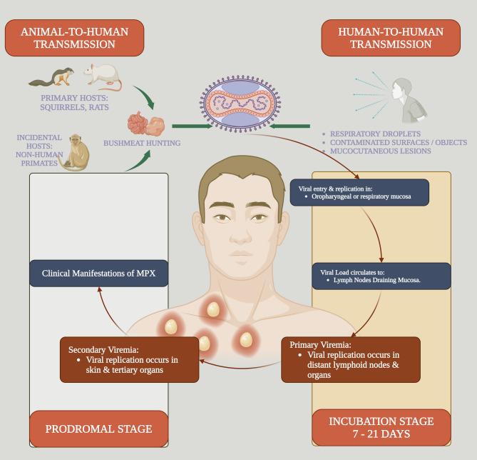 https://cdn.ncbi.nlm.nih.gov/pmc/blobs/26fa/12166575/f871d04bf215/12985_2025_2822_Fig5_HTML.jpg