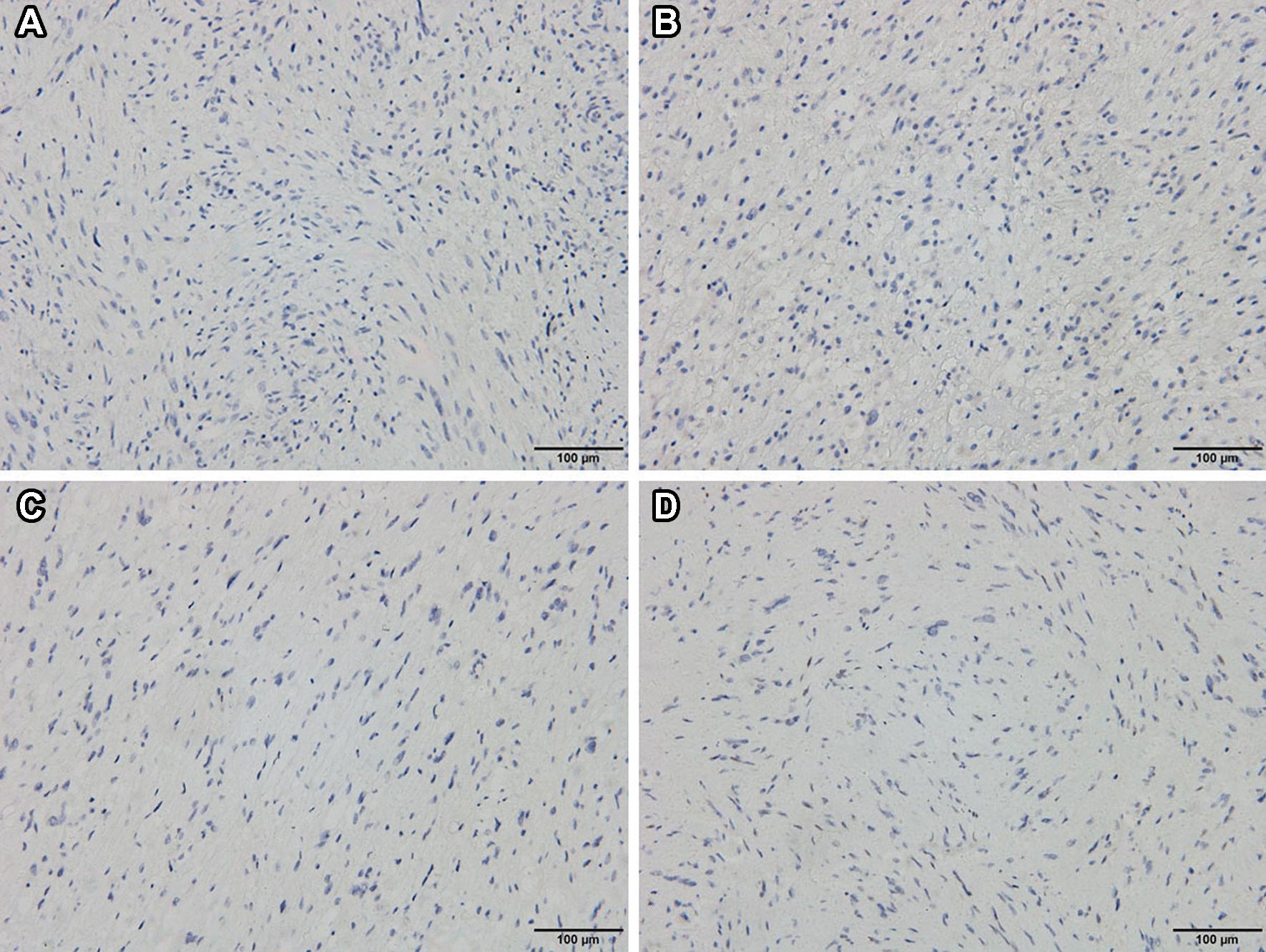 https://cdn.ncbi.nlm.nih.gov/pmc/blobs/26fb/8268594/d4c5f005646b/40001_2021_541_Fig6_HTML.jpg