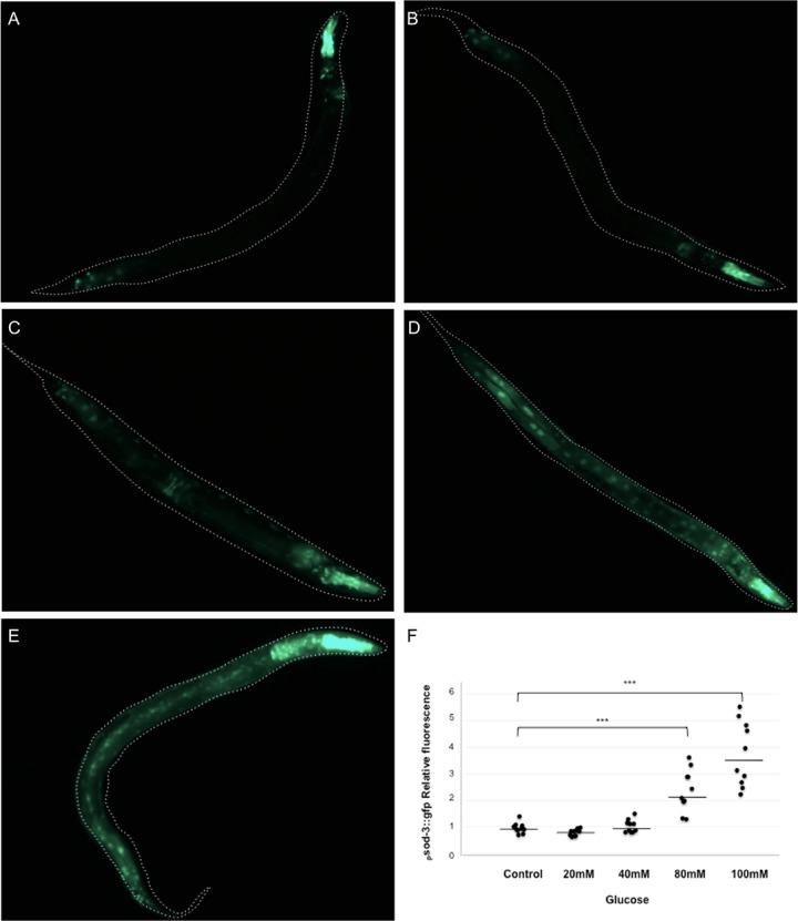 https://cdn.ncbi.nlm.nih.gov/pmc/blobs/26fc/6039004/bdc63ba5317a/pone.0199888.g006.jpg