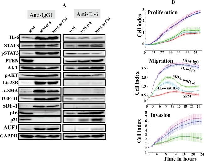 https://cdn.ncbi.nlm.nih.gov/pmc/blobs/26fd/5173109/48508da8e3ba/oncotarget-07-41974-g003.jpg