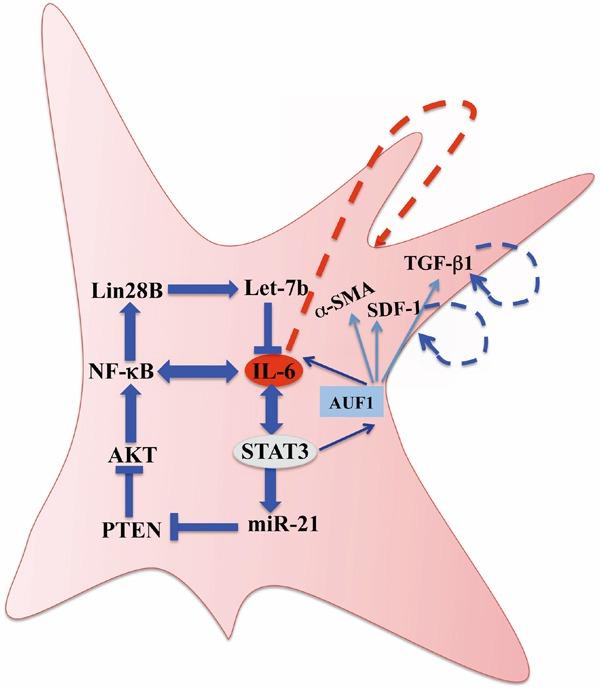 https://cdn.ncbi.nlm.nih.gov/pmc/blobs/26fd/5173109/99d458a57bac/oncotarget-07-41974-g007.jpg