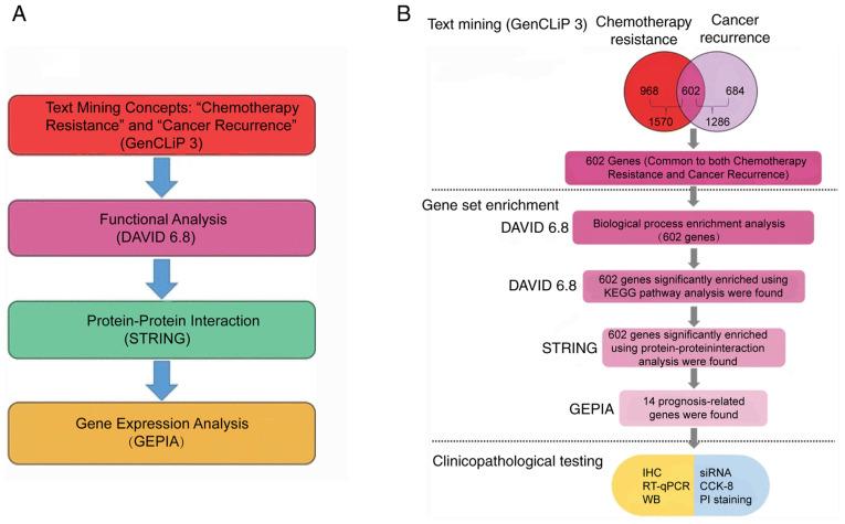 https://cdn.ncbi.nlm.nih.gov/pmc/blobs/26fd/8343572/3cf5f8cfad03/etm-22-03-10455-g00.jpg