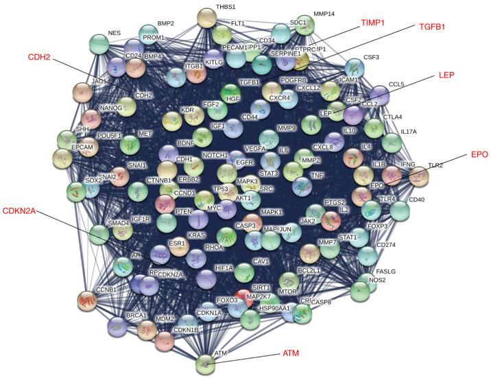 https://cdn.ncbi.nlm.nih.gov/pmc/blobs/26fd/8343572/97dcb206b0f0/etm-22-03-10455-g02.jpg