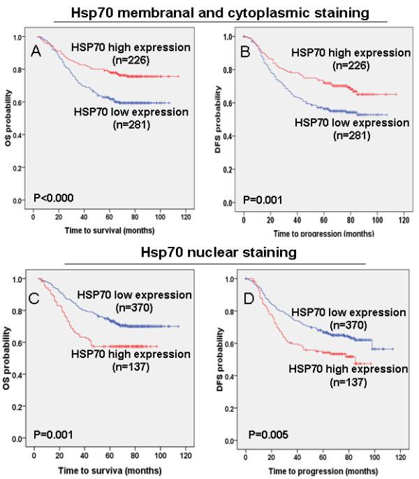 https://cdn.ncbi.nlm.nih.gov/pmc/blobs/26ff/3478221/e078d6af6757/1479-5876-10-96-3.jpg