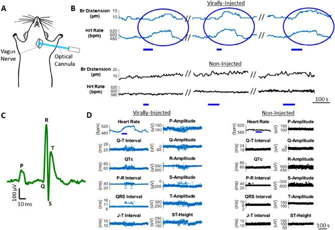 https://cdn.ncbi.nlm.nih.gov/pmc/blobs/26ff/7878800/14a40504744d/41598_2021_83280_Fig4_HTML.jpg