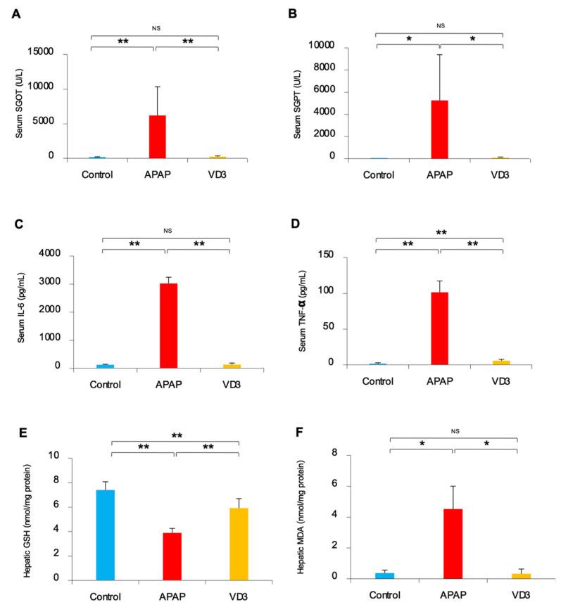 https://cdn.ncbi.nlm.nih.gov/pmc/blobs/2700/10295301/13d850644ed8/biomedicines-11-01534-g001.jpg