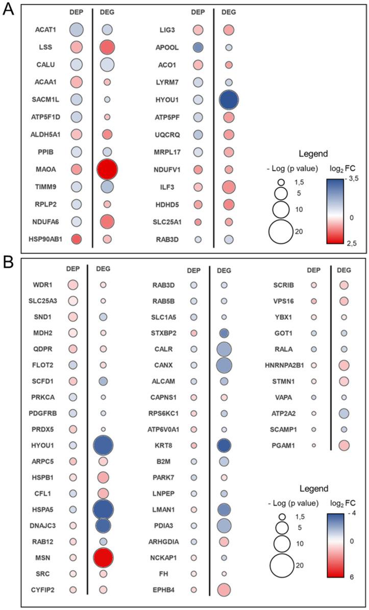 https://cdn.ncbi.nlm.nih.gov/pmc/blobs/2700/9331974/ba3f56fe881d/biomolecules-12-01024-g003.jpg