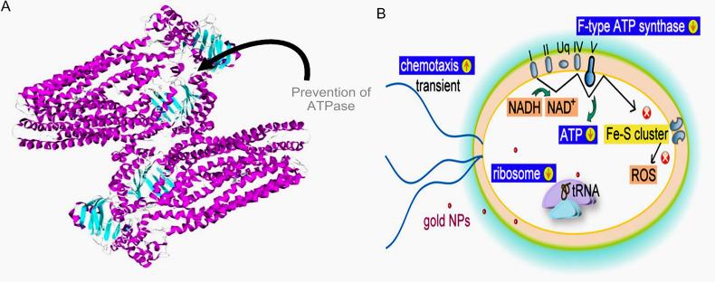 https://cdn.ncbi.nlm.nih.gov/pmc/blobs/2704/10826594/6085830b537d/IJN-19-965-g0003.jpg