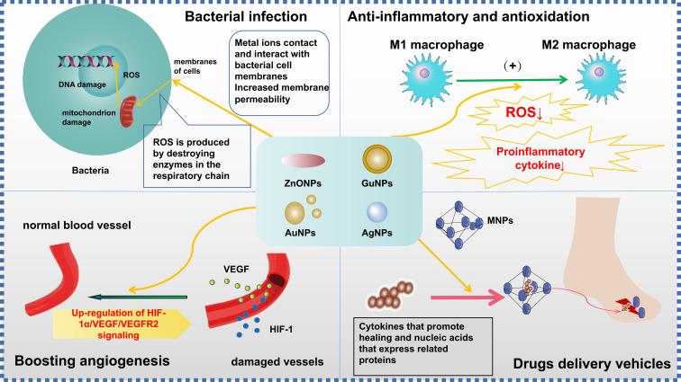 https://cdn.ncbi.nlm.nih.gov/pmc/blobs/2704/10826594/b5f068d3c207/IJN-19-965-g0009.jpg