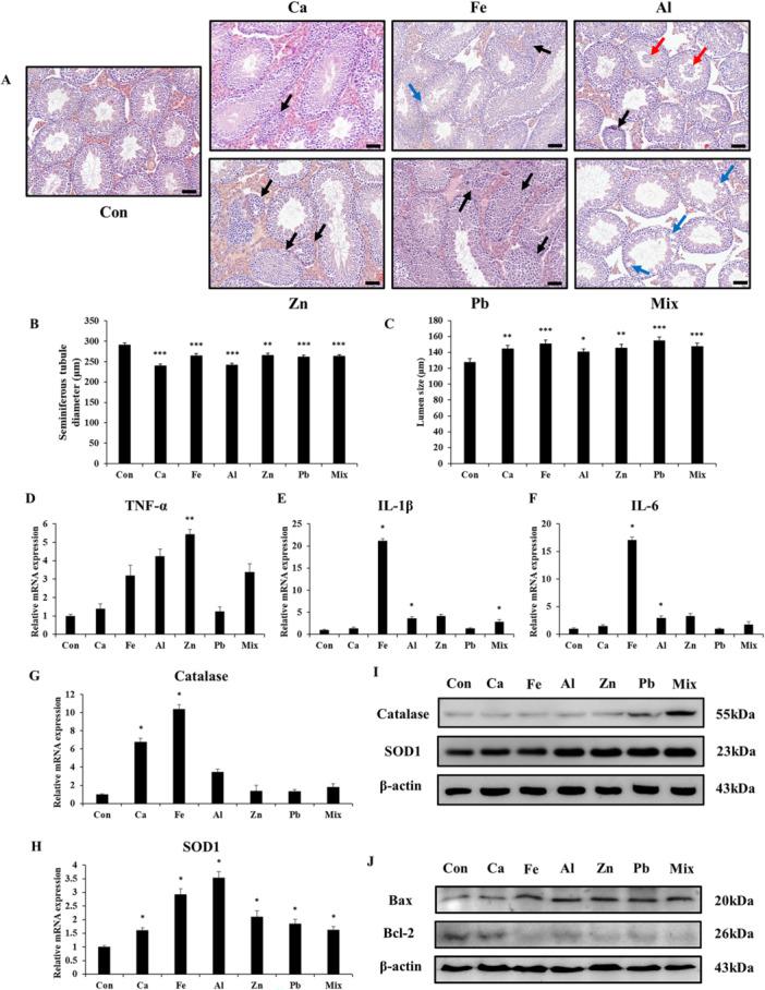 https://cdn.ncbi.nlm.nih.gov/pmc/blobs/2704/12036746/9982c80729e6/JBT-39-e70279-g003.jpg