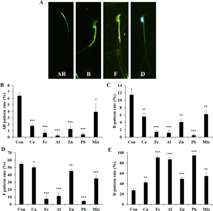 https://cdn.ncbi.nlm.nih.gov/pmc/blobs/2704/12036746/fc874bc9b85b/JBT-39-e70279-g007.jpg