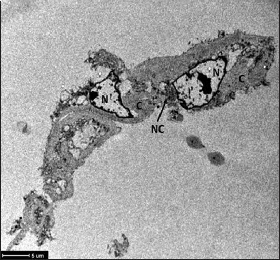 https://cdn.ncbi.nlm.nih.gov/pmc/blobs/2704/9394121/fa29b92dcdf3/Vetworld-15-1835-g001.jpg