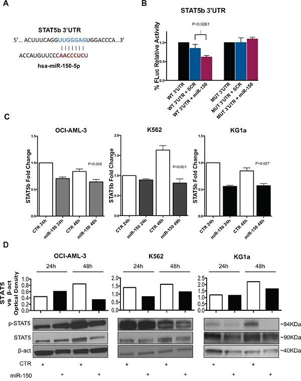 https://cdn.ncbi.nlm.nih.gov/pmc/blobs/2705/5342425/67a568f6b601/oncotarget-07-55395-g002.jpg