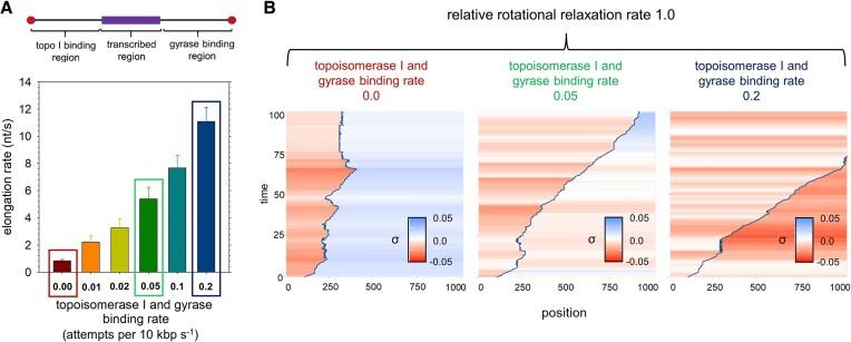 https://cdn.ncbi.nlm.nih.gov/pmc/blobs/2706/10516669/bf9839941fe4/gkad682fig7.jpg