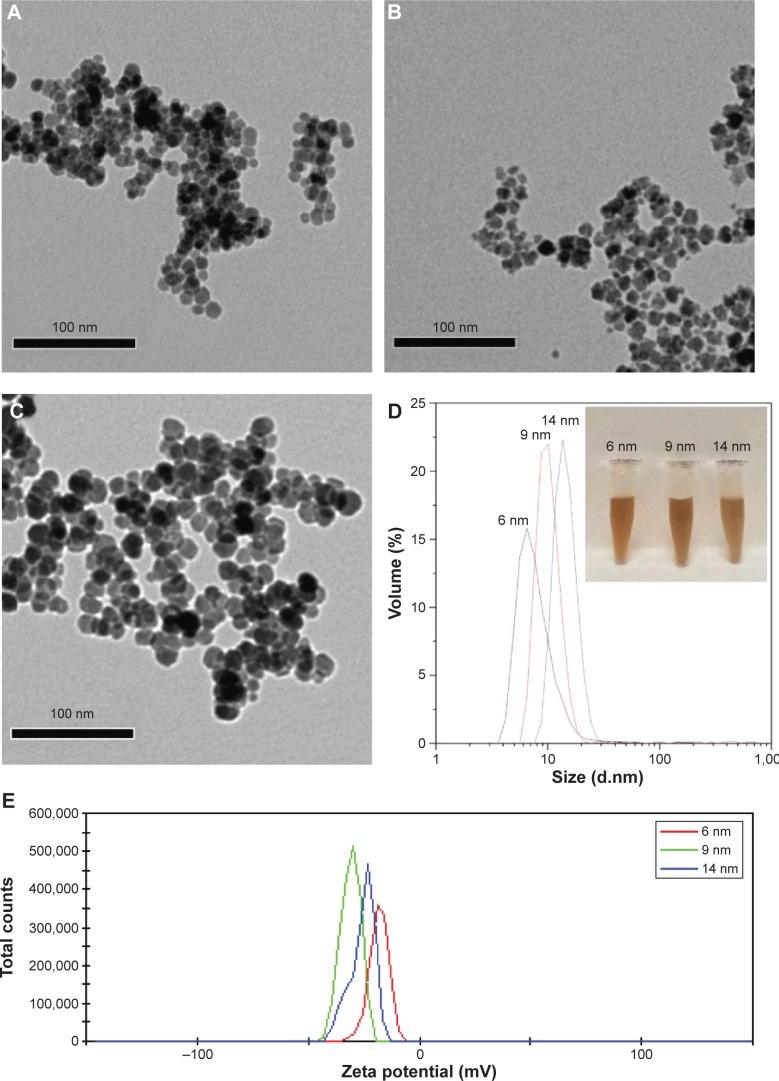https://cdn.ncbi.nlm.nih.gov/pmc/blobs/2707/4973727/9d12a01e6bd4/ijn-11-3557Fig1.jpg