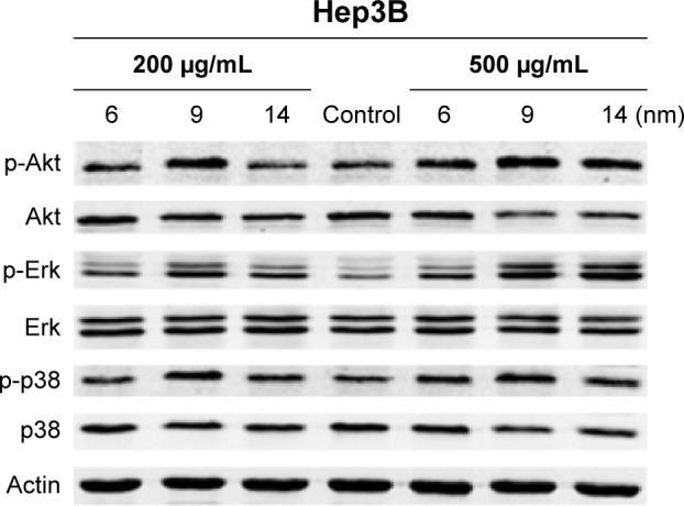 https://cdn.ncbi.nlm.nih.gov/pmc/blobs/2707/4973727/aea30e4f2991/ijn-11-3557Fig7.jpg