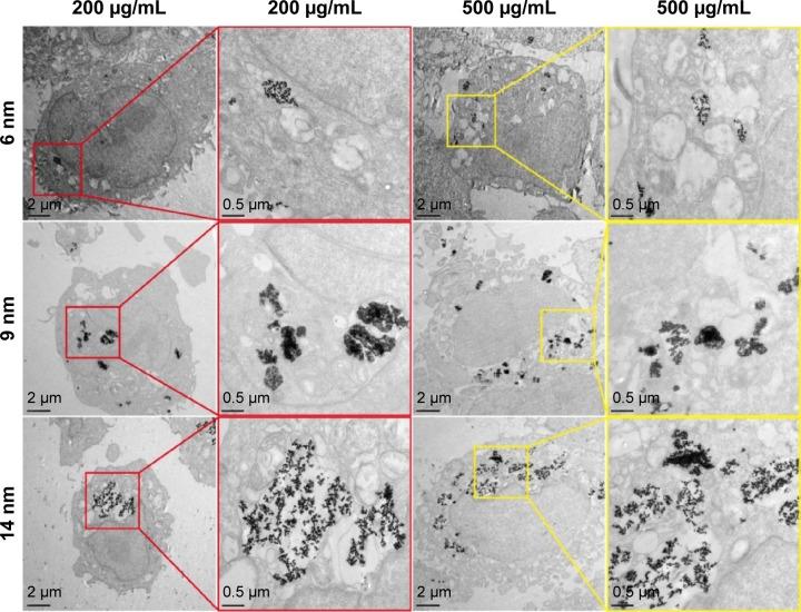 https://cdn.ncbi.nlm.nih.gov/pmc/blobs/2707/4973727/e34f1828c3da/ijn-11-3557Fig3.jpg