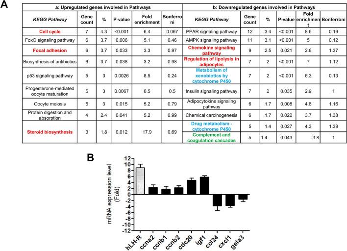 https://cdn.ncbi.nlm.nih.gov/pmc/blobs/2708/8065064/f0e55899ac89/41598_2021_87492_Fig4_HTML.jpg