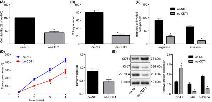 https://cdn.ncbi.nlm.nih.gov/pmc/blobs/2709/7926010/b57da9317d9e/CAM4-10-1394-g002.jpg
