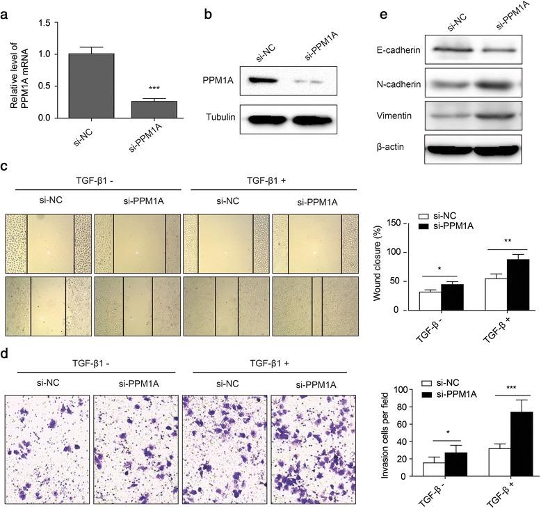 https://cdn.ncbi.nlm.nih.gov/pmc/blobs/270a/5345236/b6ebeb434c7a/13046_2017_510_Fig6_HTML.jpg