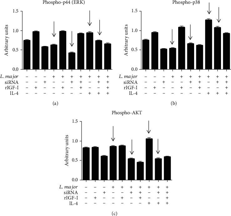 https://cdn.ncbi.nlm.nih.gov/pmc/blobs/270a/8116165/f4e792e3aa98/JIR2021-6614475.006.jpg