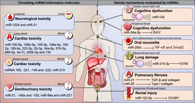 https://cdn.ncbi.nlm.nih.gov/pmc/blobs/270e/11304977/8922e7c389b6/iyae097f3.jpg