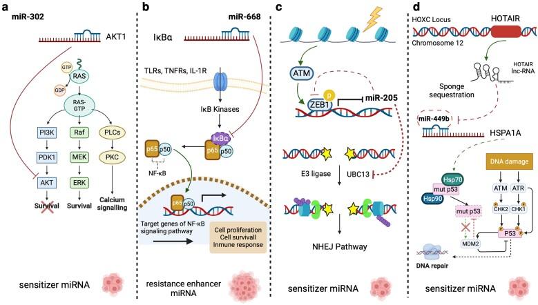 https://cdn.ncbi.nlm.nih.gov/pmc/blobs/270e/11304977/a95b2ff63e0a/iyae097f4.jpg