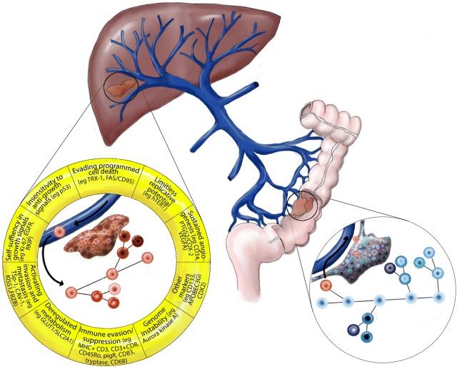 https://cdn.ncbi.nlm.nih.gov/pmc/blobs/270e/6307223/a8ff14b196e9/12935_2018_715_Fig4_HTML.jpg