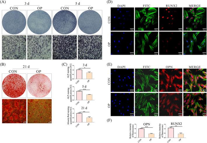 https://cdn.ncbi.nlm.nih.gov/pmc/blobs/270f/9136513/6eda42fcc81f/CPR-55-e13234-g003.jpg