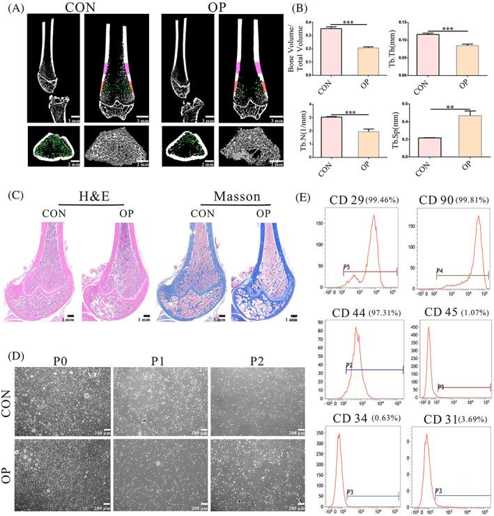 https://cdn.ncbi.nlm.nih.gov/pmc/blobs/270f/9136513/7eb7ae7592ba/CPR-55-e13234-g006.jpg