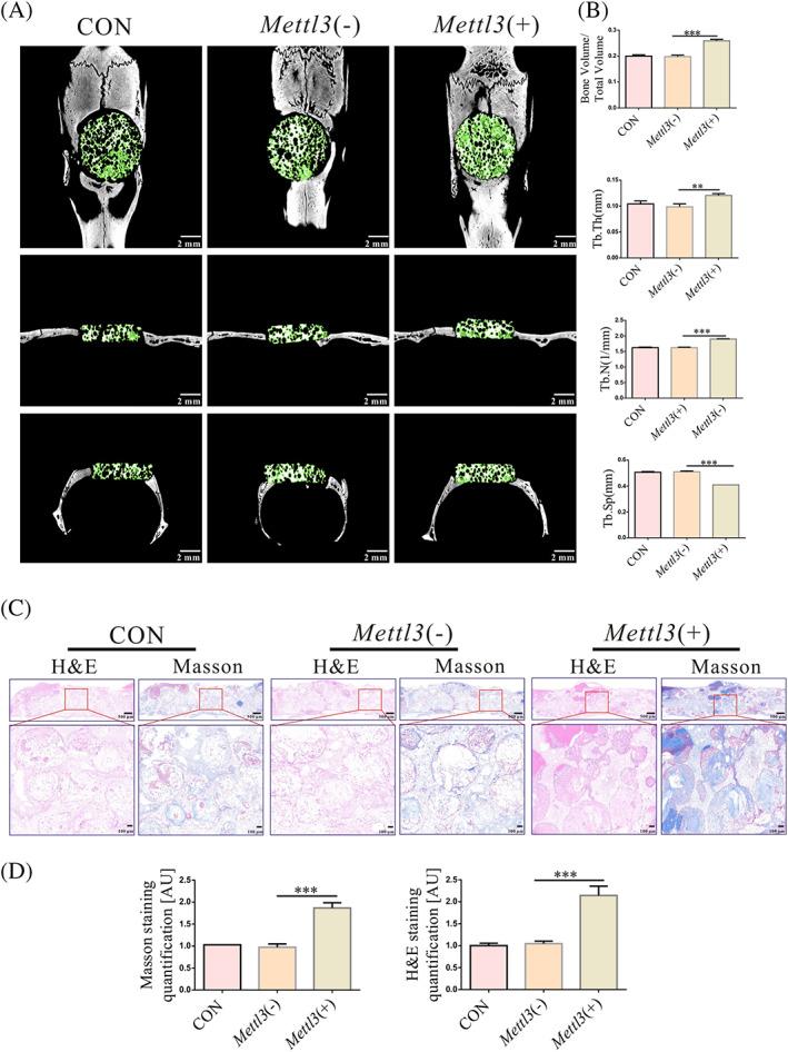 https://cdn.ncbi.nlm.nih.gov/pmc/blobs/270f/9136513/9e6889692e66/CPR-55-e13234-g001.jpg