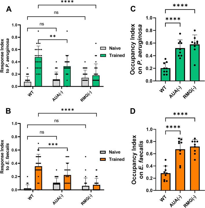 https://cdn.ncbi.nlm.nih.gov/pmc/blobs/2710/9548130/351d12a03210/12915_2022_1424_Fig4_HTML.jpg