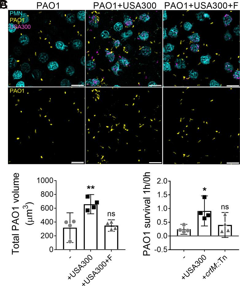 https://cdn.ncbi.nlm.nih.gov/pmc/blobs/2716/10786307/dfad515fd5ab/pnas.2312334121fig03.jpg