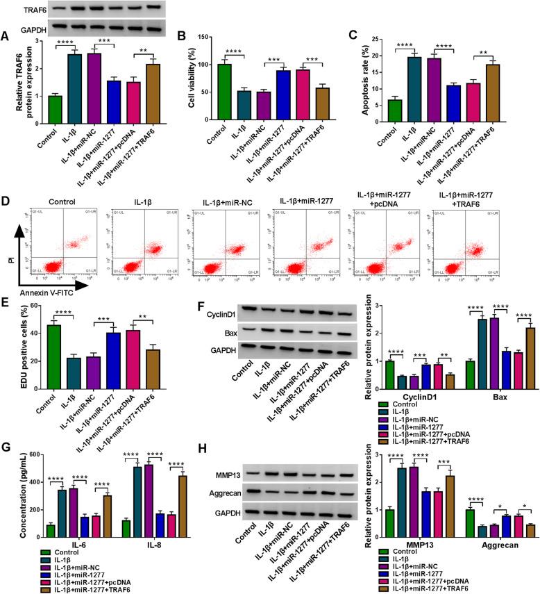 https://cdn.ncbi.nlm.nih.gov/pmc/blobs/271a/8173917/8e235c2ed06d/13075_2021_2541_Fig7_HTML.jpg