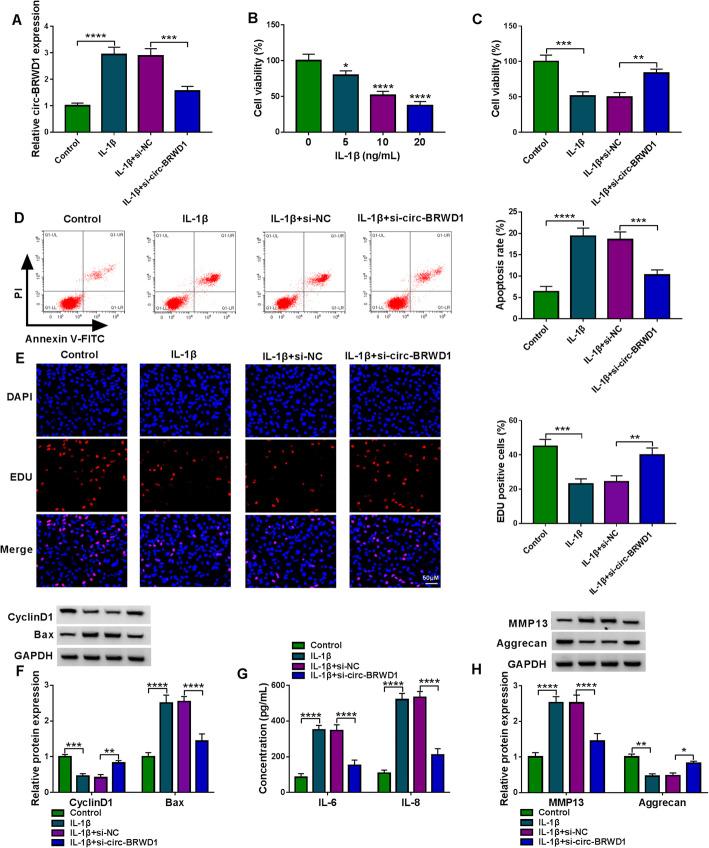 https://cdn.ncbi.nlm.nih.gov/pmc/blobs/271a/8173917/b25543b88cba/13075_2021_2541_Fig3_HTML.jpg
