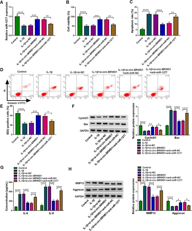 https://cdn.ncbi.nlm.nih.gov/pmc/blobs/271a/8173917/cb74269fac1b/13075_2021_2541_Fig5_HTML.jpg