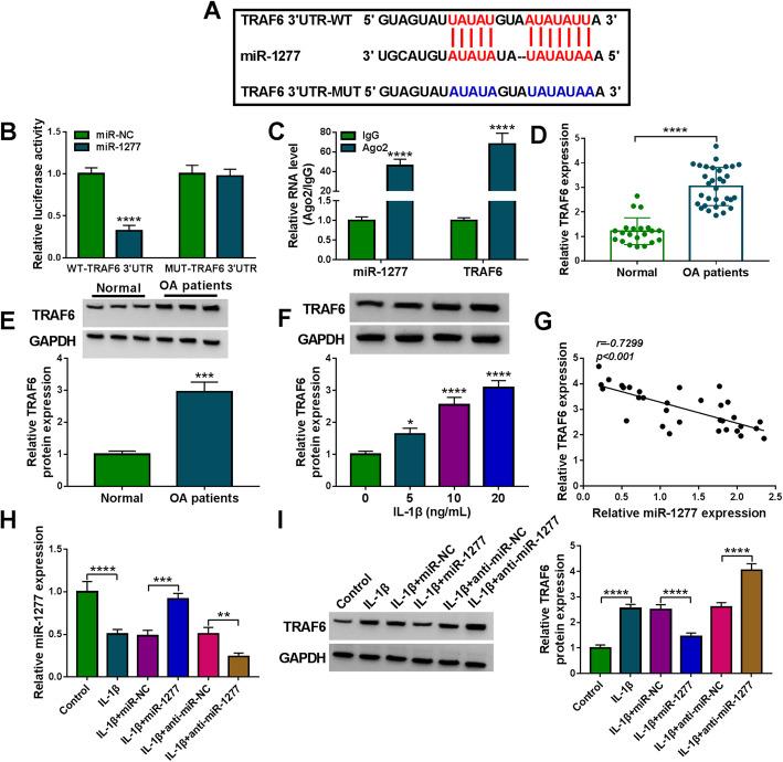 https://cdn.ncbi.nlm.nih.gov/pmc/blobs/271a/8173917/ee9f07e61464/13075_2021_2541_Fig6_HTML.jpg