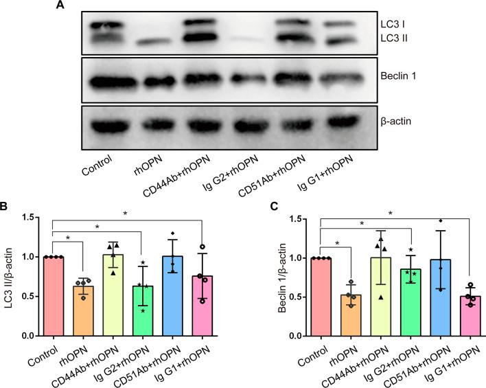 https://cdn.ncbi.nlm.nih.gov/pmc/blobs/271d/11916941/b4366b4f8533/12891_2025_8509_Fig3_HTML.jpg